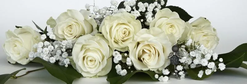 Costa Rica Is Your Wedding Destination!