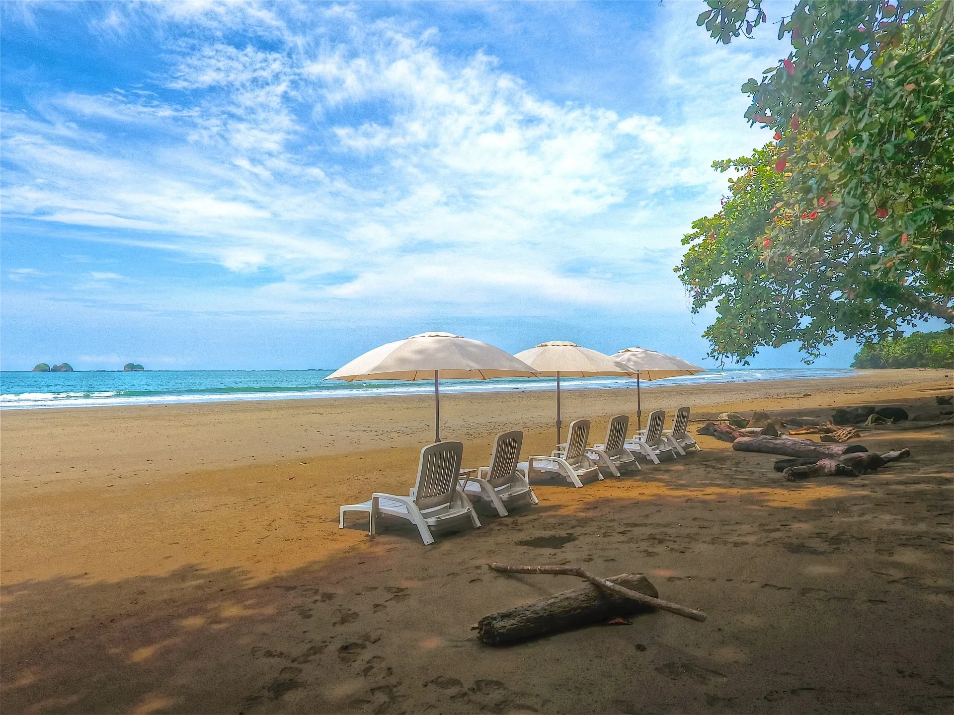 Dominical Ballena VIP Condo