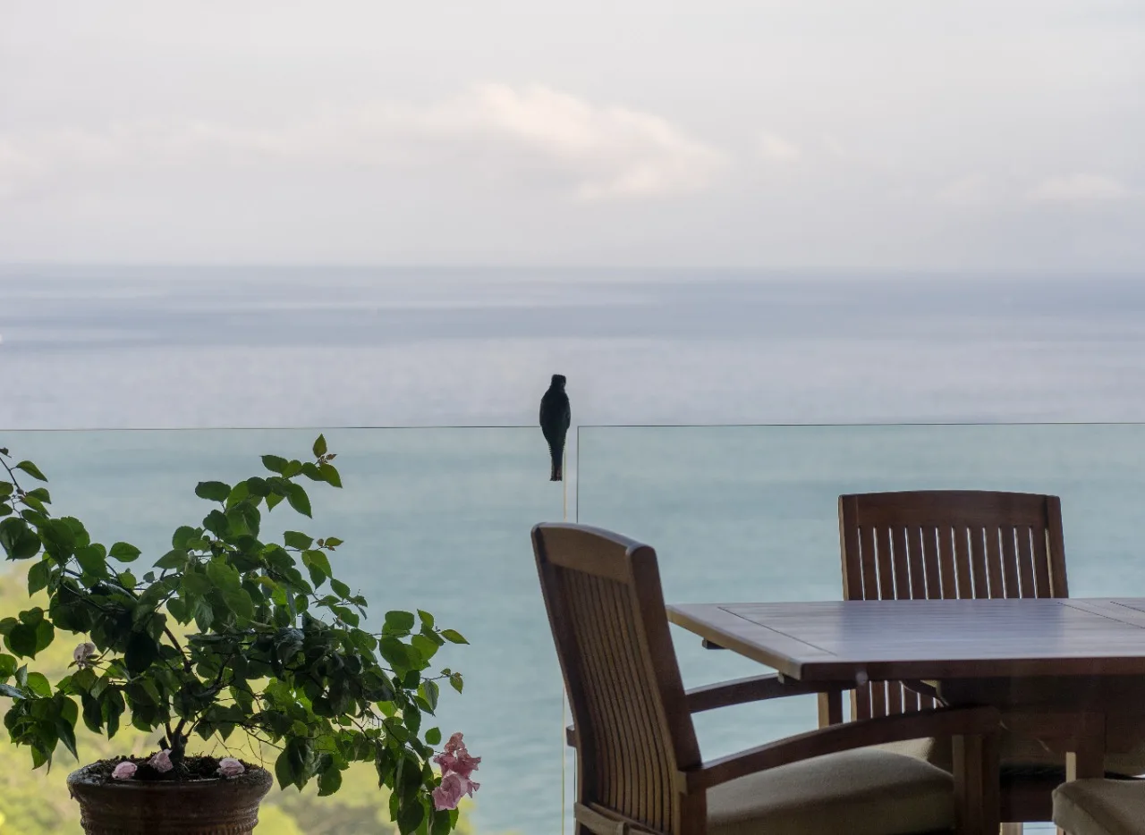 Exclusive Luxury Home Casa Faro Azul (10)