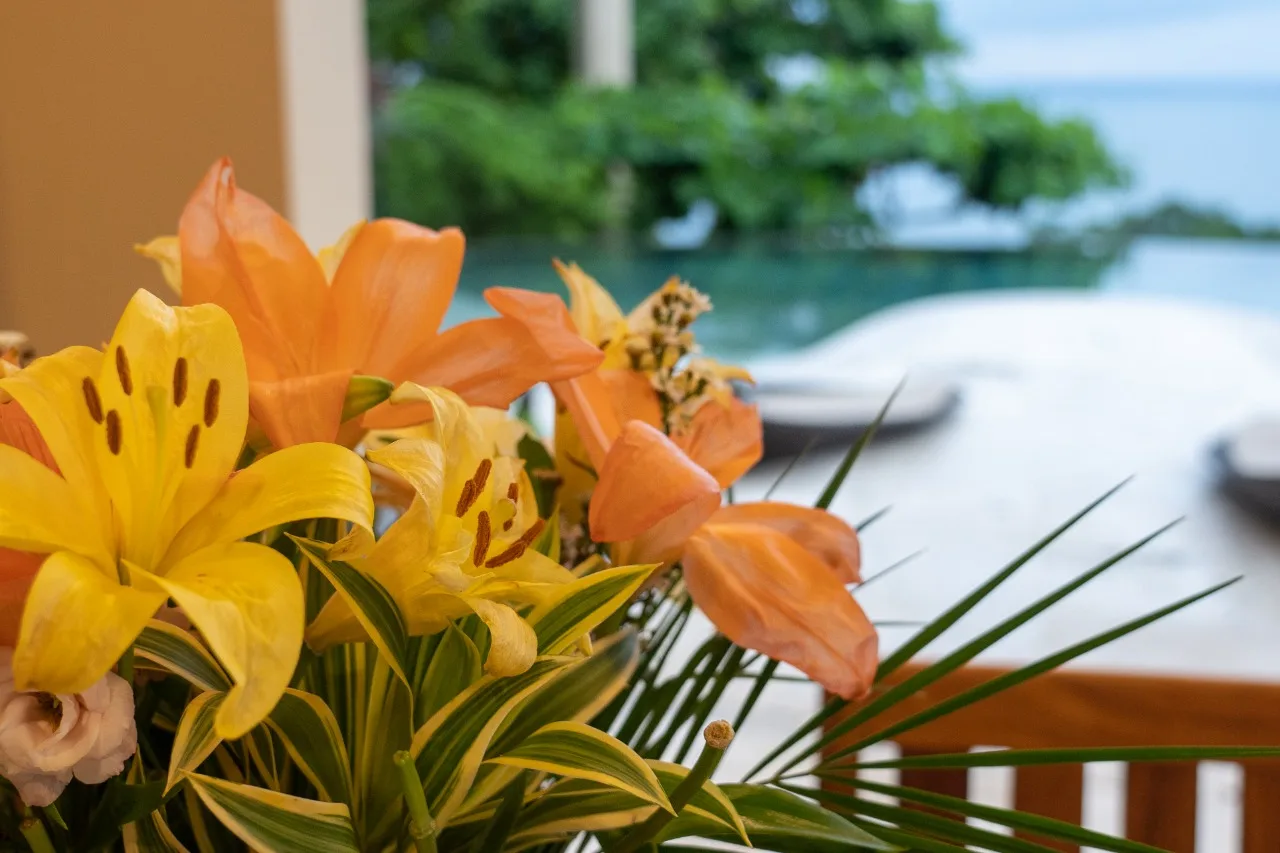 Exclusive Luxury Home Casa Faro Azul (27)
