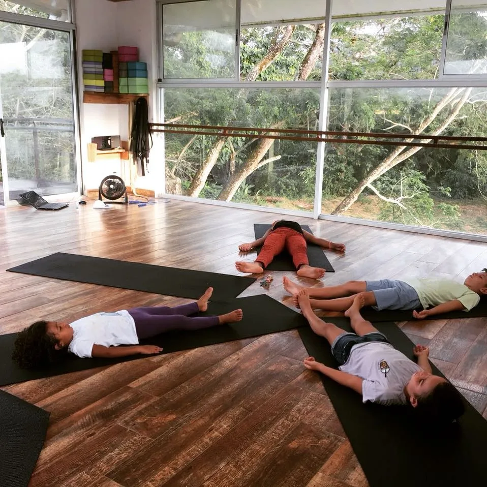 Yoga Private Classes (15)
