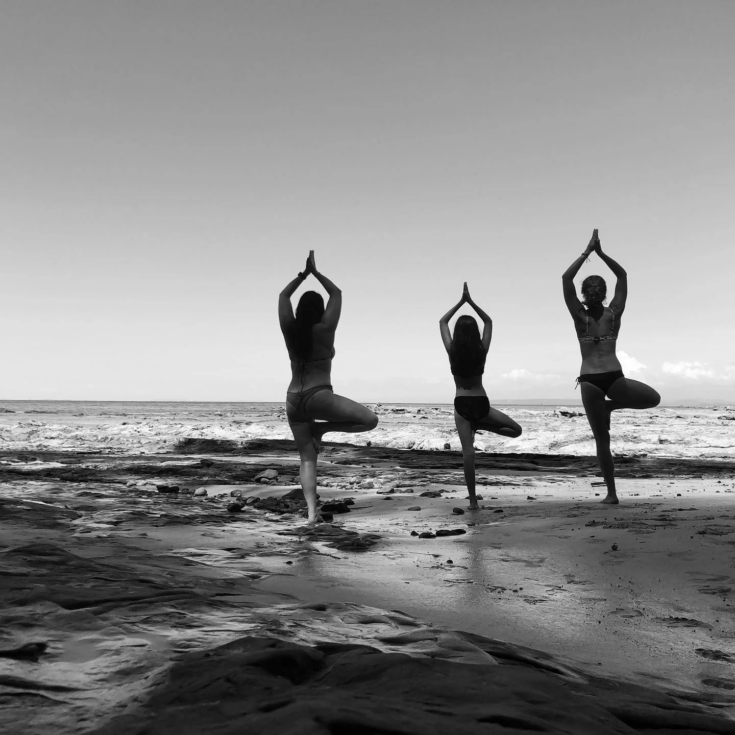 Yoga Private Classes (3)