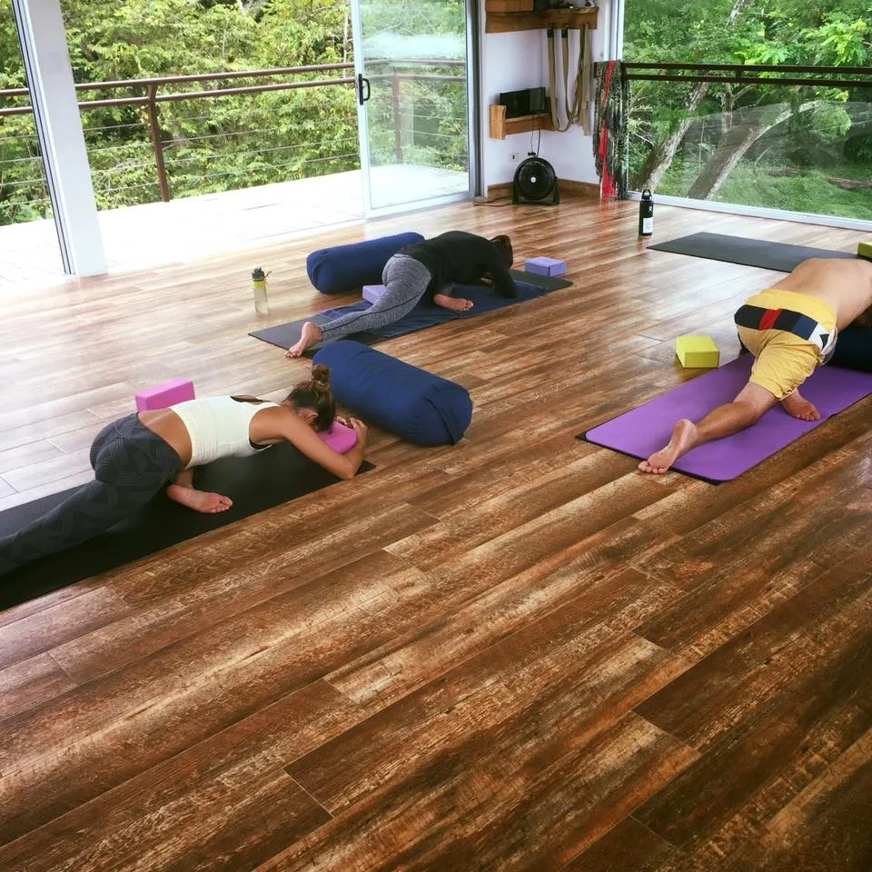 Yoga Private Classes (7)