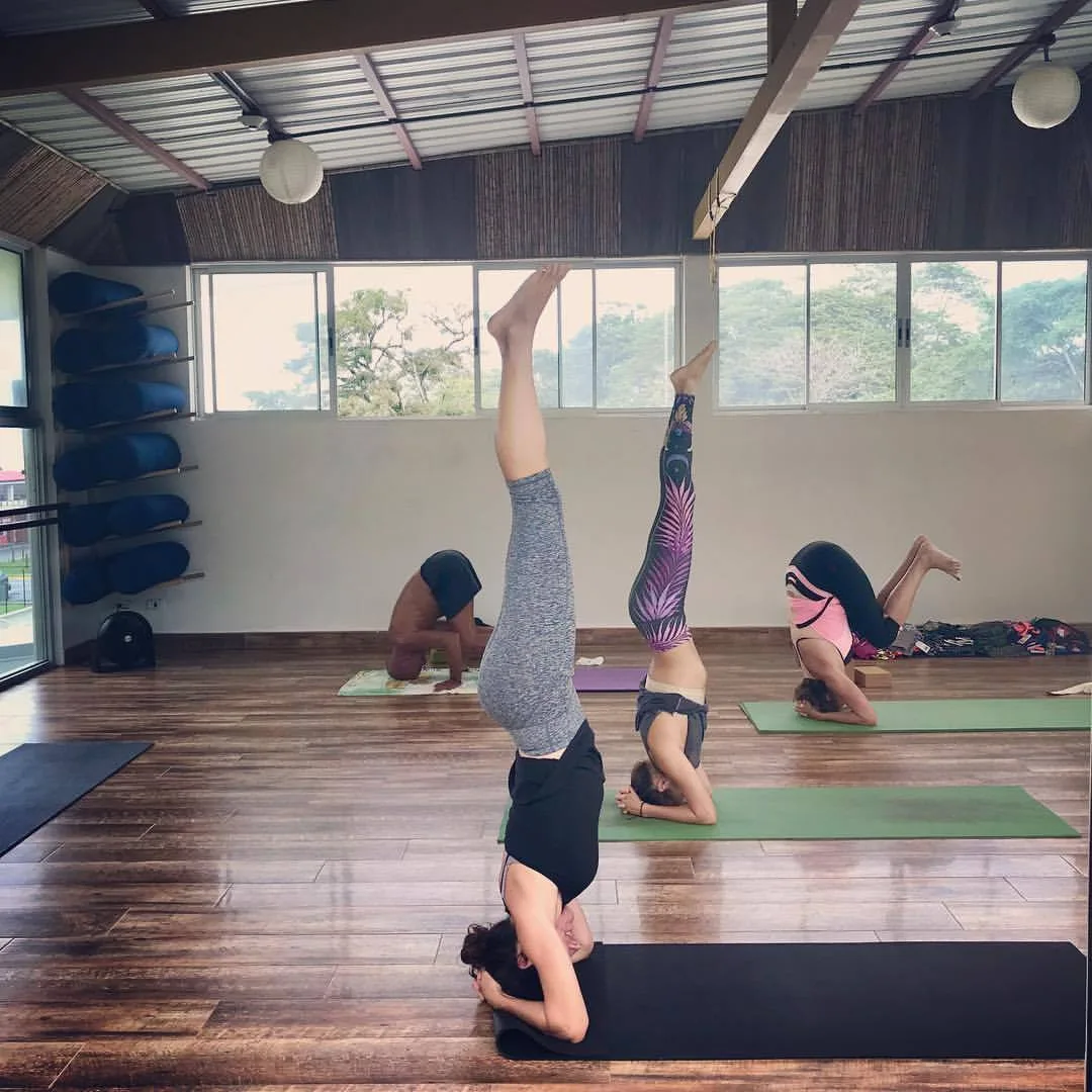 Yoga Private Classes (8)
