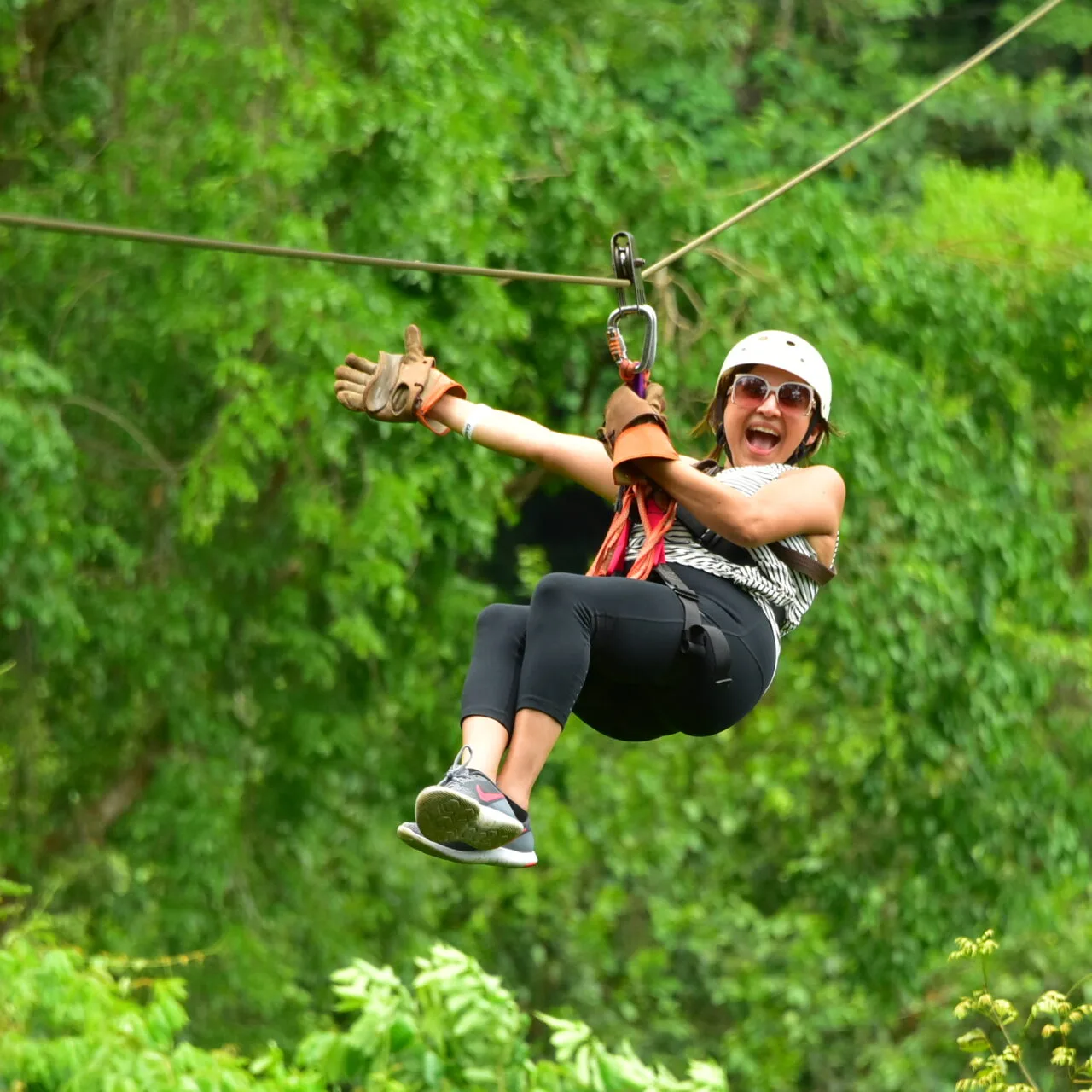 Zip Lining (1)