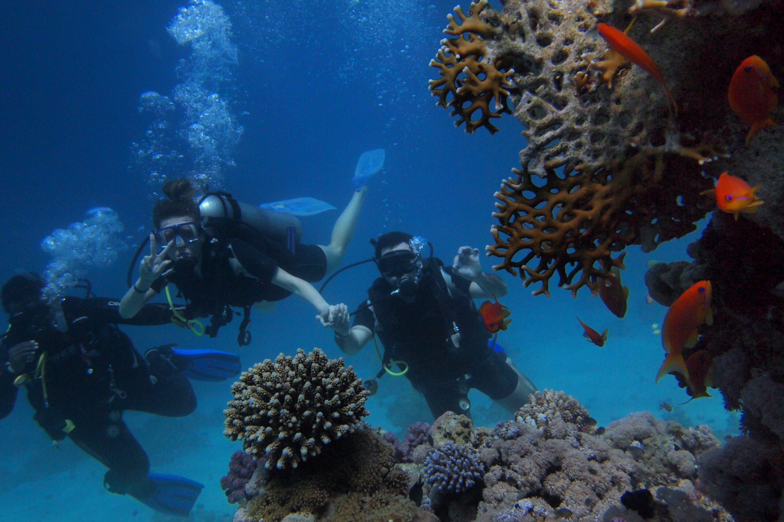 Private Tortuga Island Diving Charter (2)