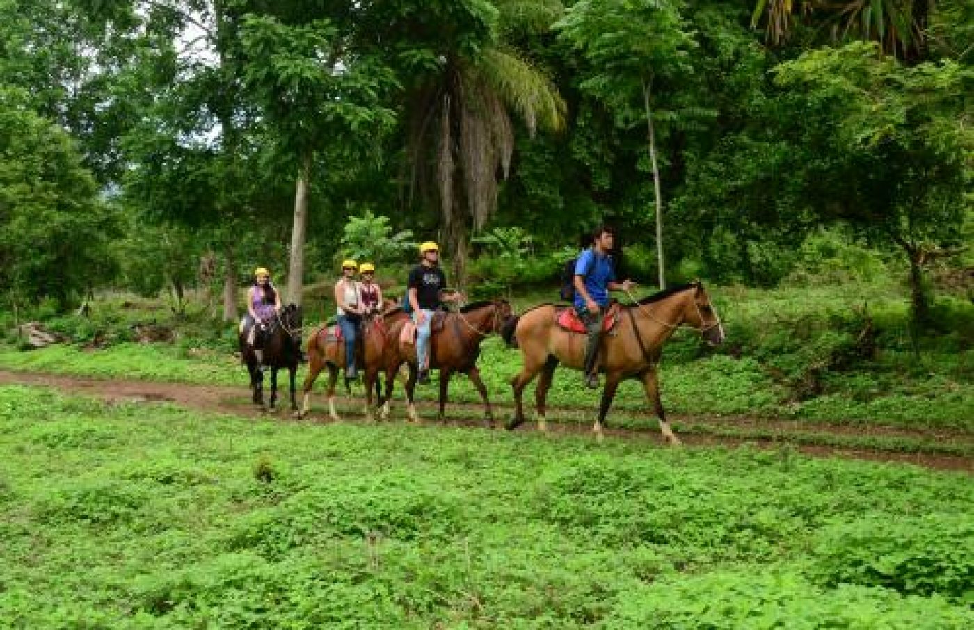 Horseback Riding and Waterfall Tour Horseback Riding and Waterfall Tour