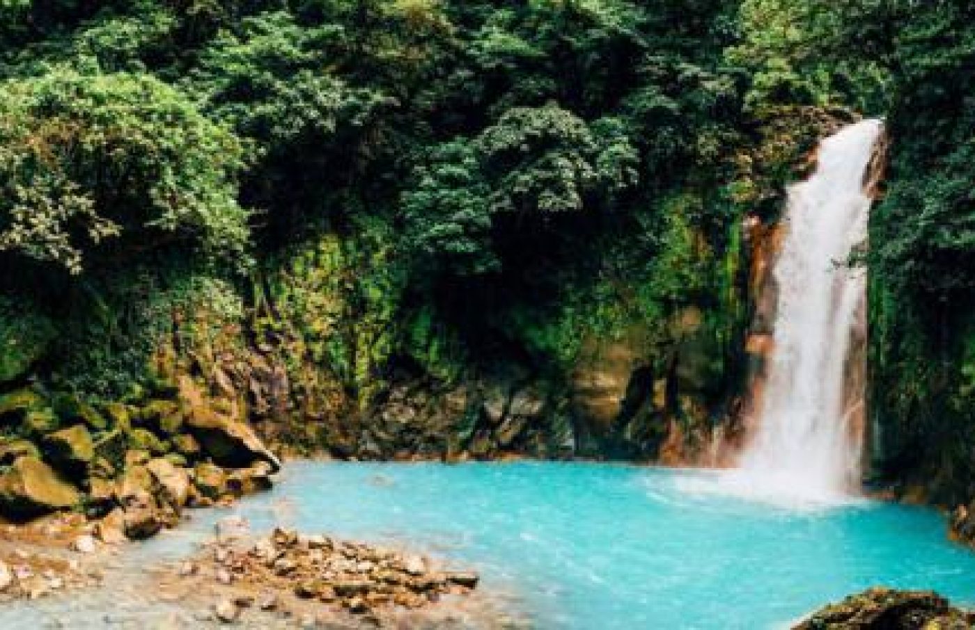 Rio Celeste and Tenorio Volcano Private Tour Rio Celeste and Tenorio Volcano Private Tour