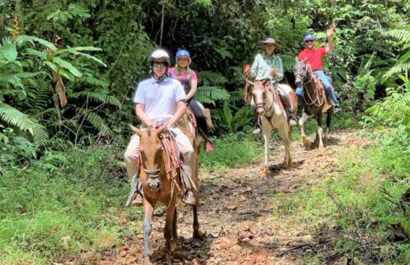 Tocori Waterfalls Horseback Tour Tocori Waterfalls Horseback Tour